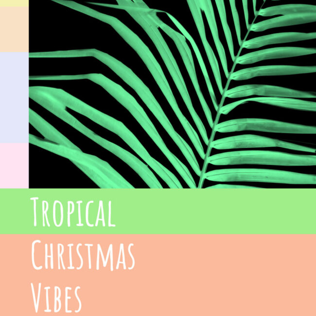 Sending You… Tropical Christmas Vibes – set of 10 cards