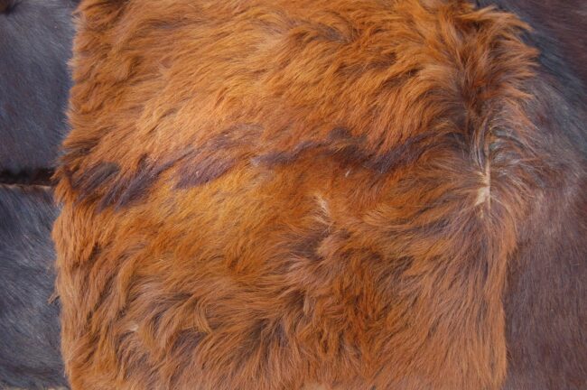 Vintage Patchwork Goat Skin / Goat Hide Rug
