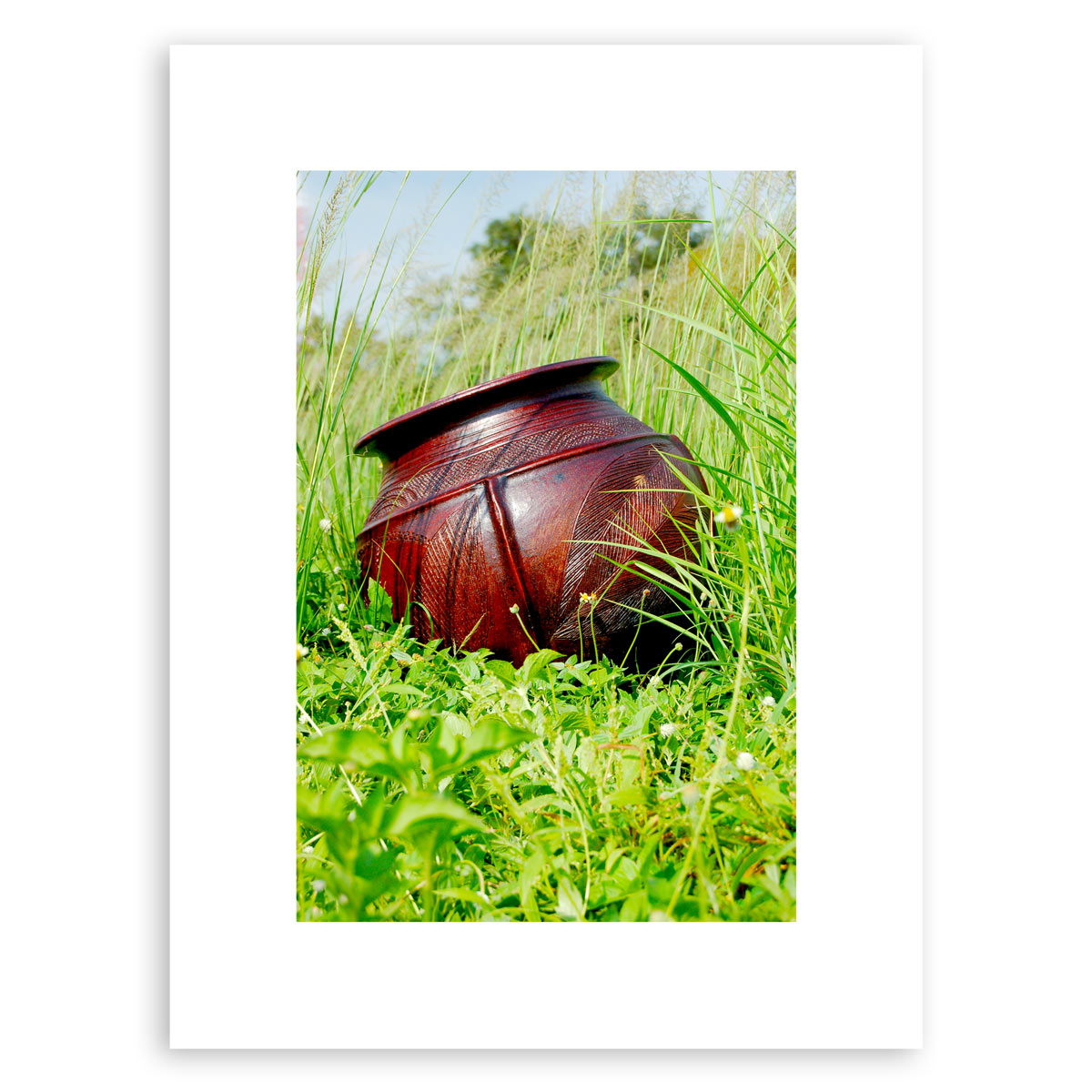 Pottery in the Garden II – photographic print