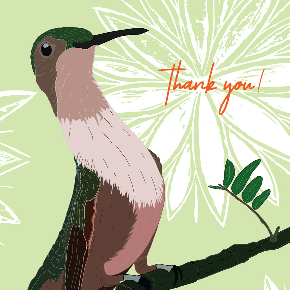 Hummingbird – thank you note cards