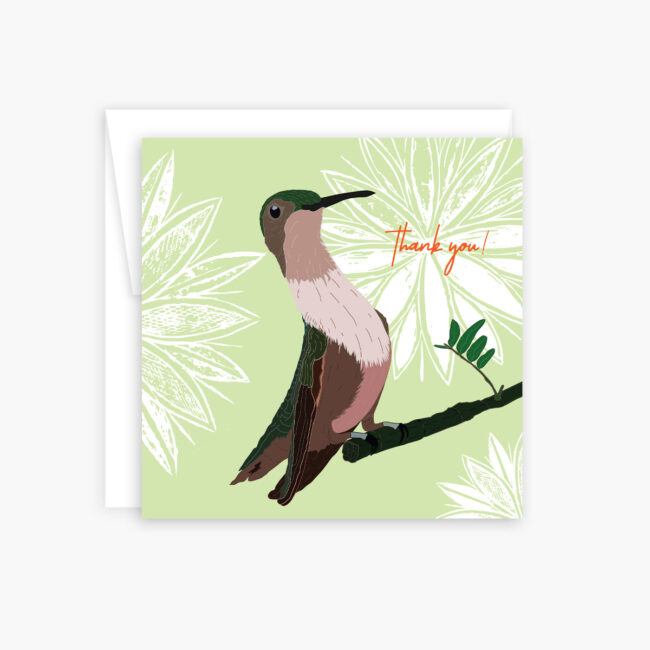 Hummingbird – thank you note cards