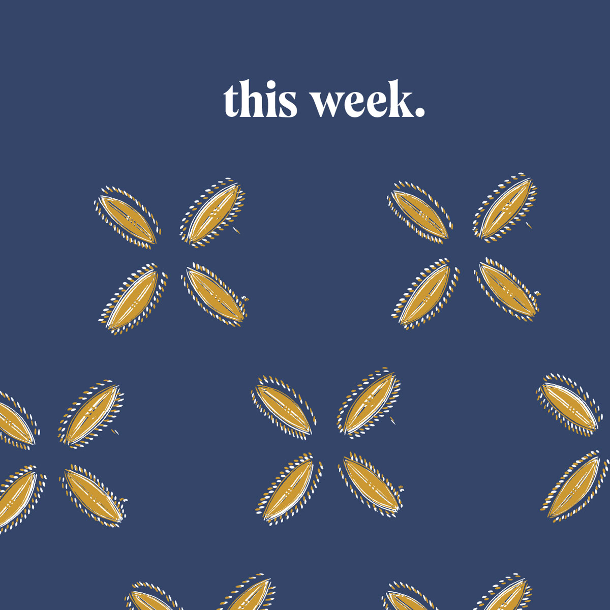 Undated Weekly Planner – blue cowrie
