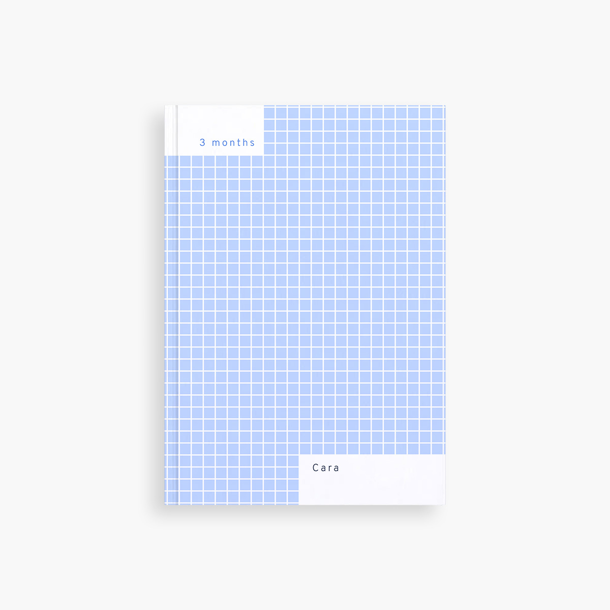 Personalized Blue Grid Daily Planner (3 months) – Days + Months